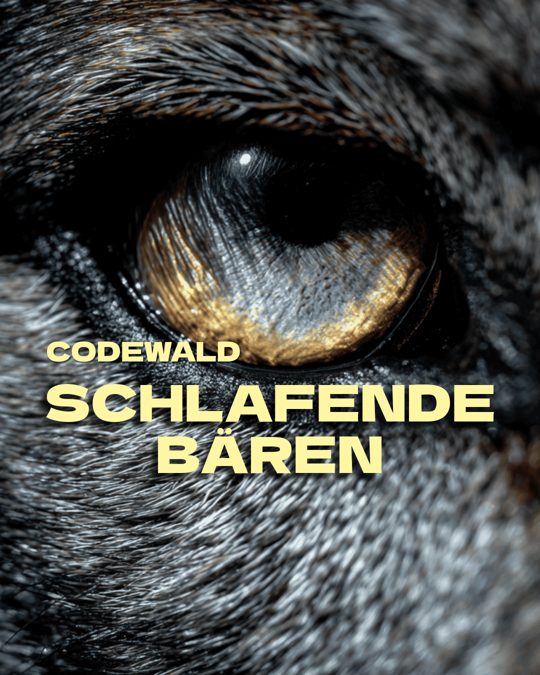 Portrait 4:5 Format Vorschau