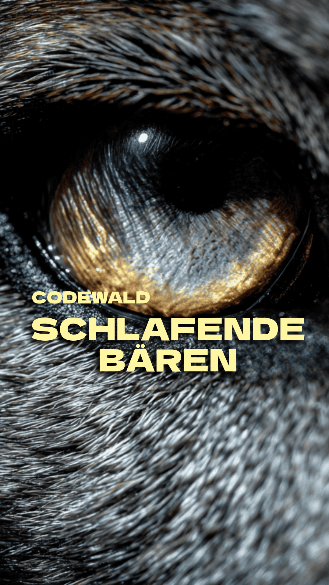 Story-Format Vorschau