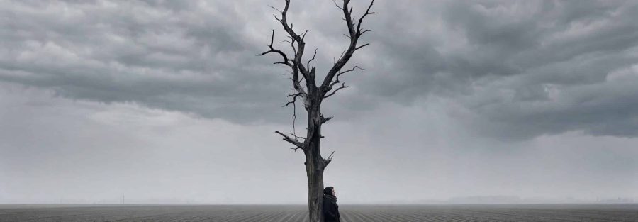 Ein verwelkter Baum in einer kargen Landschaft mit einer Person.
